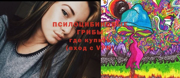 первитин Заволжск