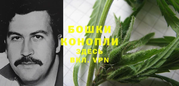MESCALINE Заводоуковск