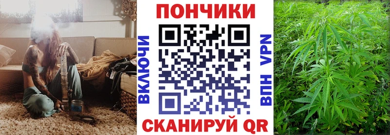 Бошки Шишки сатива  дарнет шоп  Кадников 